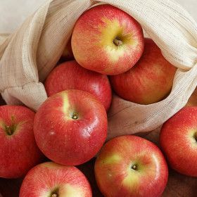 상품 이미지: (신선집중) 사과 경북 가정용 햇 홍로사과 2kg(13-17과내외)/꼬마소과