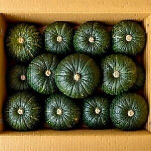 상품 이미지: 포슬포슬 제주 미니밤호박 5kg 정품 특품 로얄과 10-16과내외 박스포함 단호박 보우짱