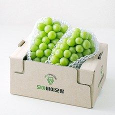 상품 이미지: 모아바이오팜 당도선별 샤인머스캣, 1개, 1.5kg