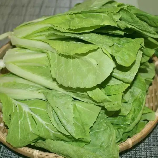 상품 이미지: 얼갈이배추4kg 1박스 자연대로팜웨이