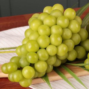 상품 이미지: 고당도 달콤한 영천 샤인머스켓 2kg (3-4수)