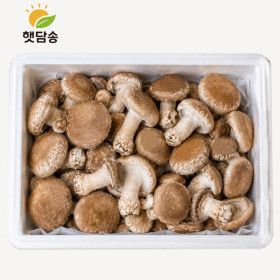 상품 이미지: 햇담 송화버섯 가정용 1kg 농협에 납품하는 이천 무농약 송고버섯 농장 직배송