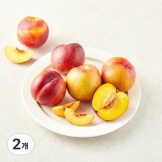 상품 이미지: 곰곰 당도선별 천도 복숭아, 2개, 1kg(대과)