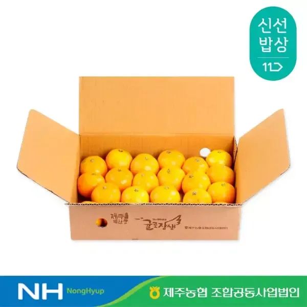 상품 이미지: [첫출하] 제주농협 귤로장생  하우스감귤 1kg 로얄과(2S-M)