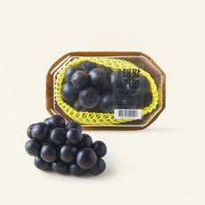 상품 이미지: 고당도 대왕 거봉, 1개, 500g