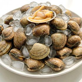 상품 이미지: (신선집중) 국산 남해안 활 바지락 다이버 조업 1kg 50미 내외