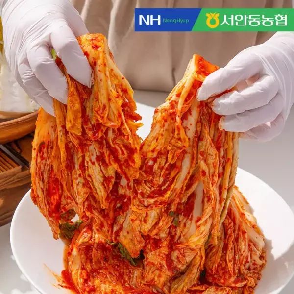상품 이미지: (HACCP 인증)서안동농협 풍산김치 포기김치 10kg (대용량)