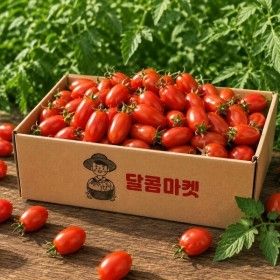 상품 이미지: 달콤마켓스토어 산지직송 대추 대과 방울토마토 2kg ( 2박스 구매시 1kg 추가발송 ) 당일발송 당일수확