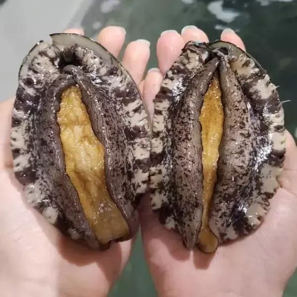 상품 이미지: [남도장터] 태화 완도 전복 5-6미 1kg 산소포장