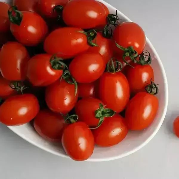 상품 이미지: 당일수확 GAP 대추방울 토마토 대과(1-2번과) 2kg