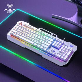 상품 이미지: AULA 독거미 F3010 RGB 유선 게이밍 기계식 키보드 8월 초 발송 예정