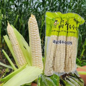 상품 이미지: 괴산 대학찰옥수수 17cm이상 특품 수확 즉시 삶아 냉동 15개 /30개 구매시 3개(1팩) 증정 이벤트