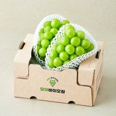 상품 이미지: 모아바이오팜 당도선별 샤인머스캣, 1개, 1kg