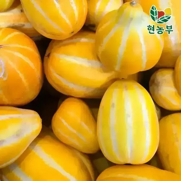 상품 이미지: 햇 꿀벌 성주 못난이 참외 랜덤혼합 실중량 박스포함 10kg이상