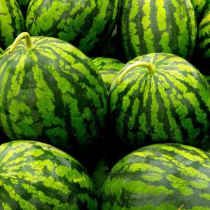 상품 이미지: ( 일일한정 ) 경북 고당도 꿀수박 가정용 9~10kg