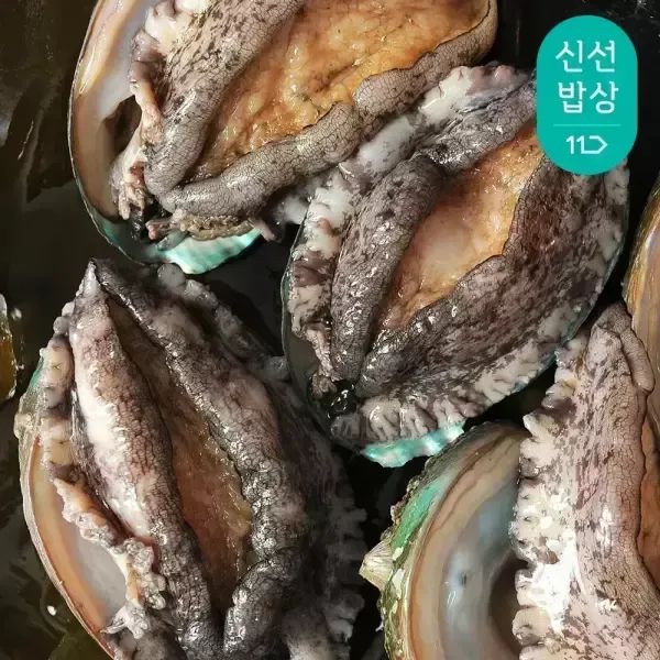 상품 이미지: [바다마을] 완도 참 전복 대왕특대활전복 4~5미 1kg(산소포장)