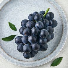 상품 이미지: 영길팜 당도선별 거봉, 500g, 1개