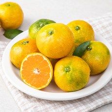 상품 이미지: 새벽경매 하우스 감귤, 500g, 1팩