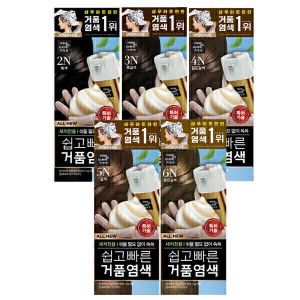 상품 이미지: (최종결제가19660원)올뉴 쉽고빠른거품염색 2개 색상선택