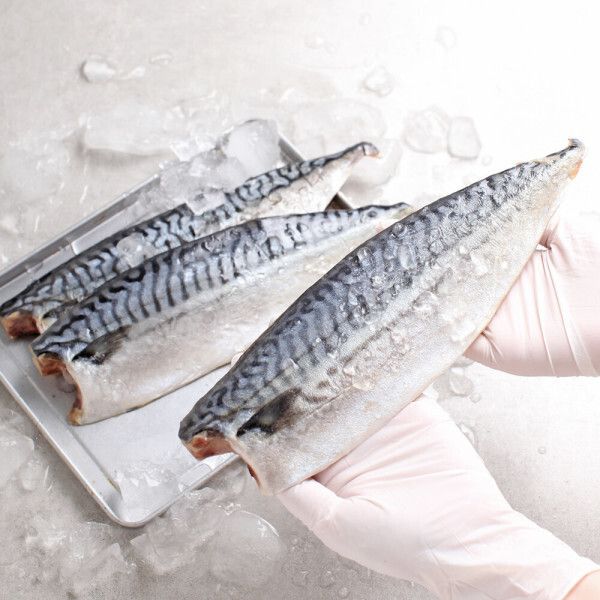 상품 이미지: 노르웨이 고등어 왕특대 1kg(6팩/패당150g) 노르웨이 산지 가공 한번얼린 고등어