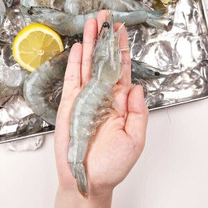 상품 이미지: (신선집중) 국내산 흰다리새우 횟감용 1kg 35미 내외 (2개 구매 시 초장증정)