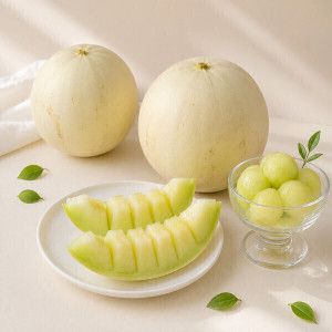 상품 이미지: (신선집중) 달콤한 허니듀 멜론 점보특대과 2개입 (총 5.5~6.5kg 내외)