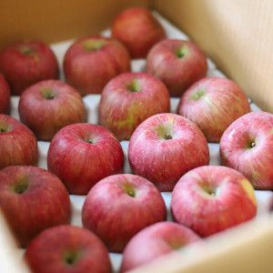 상품 이미지: (신선집중) 첫 수확 홍로 한입 사과 4KG / 22-30과 /12brix 이상
