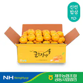 상품 이미지: [제주농협] 귤로장생 노지감귤 4.5kg 로얄과(2S-M)