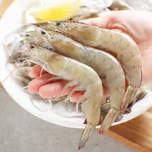 상품 이미지: (신선집중) 생물 새우 1kg 35-45미내외 당일새벽 조업분 출고 100%국내산