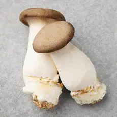 상품 이미지: 국내산 새송이 버섯, 170g, 1개