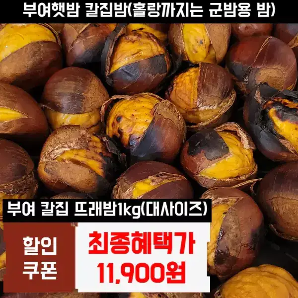 상품 이미지: [부여밤&임산물축제] 충남 부여 군밤용 홀라당까지는 칼집밤 1kg 대사이즈 2026년 햇밤 뜨래밤