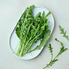 상품 이미지: 국내산 와일드 루꼴라, 30g, 1개