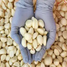 상품 이미지: 26년 무안 황토골 국산 깐마늘 1kg(대)