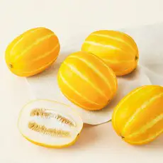 상품 이미지: 성주 당도선별 참외, 1.2kg(4~5입), 1봉