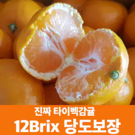 상품 이미지: (신선집중) 귤 감귤 12브릭스 고당도 타이벡 감귤 5kg 로얄과선별(2s-m)