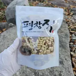 상품 이미지: 26년 햇 특등급 평창 잣 200gX2팩(황잣1,백잣1)