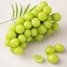 상품 이미지: 샤인머스캣, 500g, 1팩