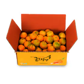 상품 이미지: (신선집중) 제주농협 귤로장생 하우스감귤 4.5kg 소과