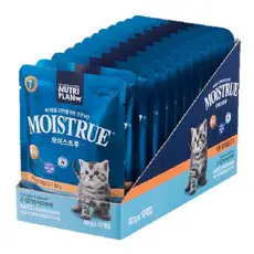 상품 이미지: 동원뉴트리플랜 고양이 모이스트루 주식파우치, 닭+참치, 80g, 12개