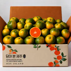상품 이미지: (신선집중) 30%할인/제주 서귀포 햇조생 감귤 로얄과(S-M) 실중량 4.5kg / 갓 수확한 싱싱한 감귤/ 단하루
