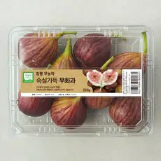 상품 이미지: 무농약 인증 함평 속살가득 무화과, 600g, 1개