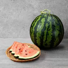 상품 이미지: 곰곰 수박, 5kg이상, 1개