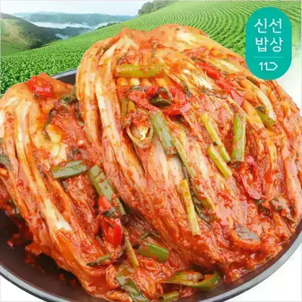 상품 이미지: [품질보장] 가정식 생포기김치5kg /10Kg/총각/열무/겉절이/오이
