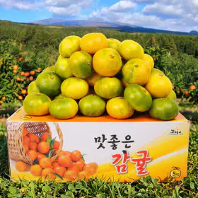 상품 이미지: (신선집중) (농할20%)제주직송 서귀포 극조생감귤 4.5kg(로얄과)