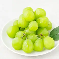 상품 이미지: 곰곰 알알이 샤인머스캣, 500g, 1팩