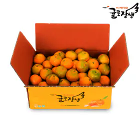 상품 이미지: (신선집중) 제주농협 귤로장생 하우스감귤 4.5kg 소과(2S 이하)