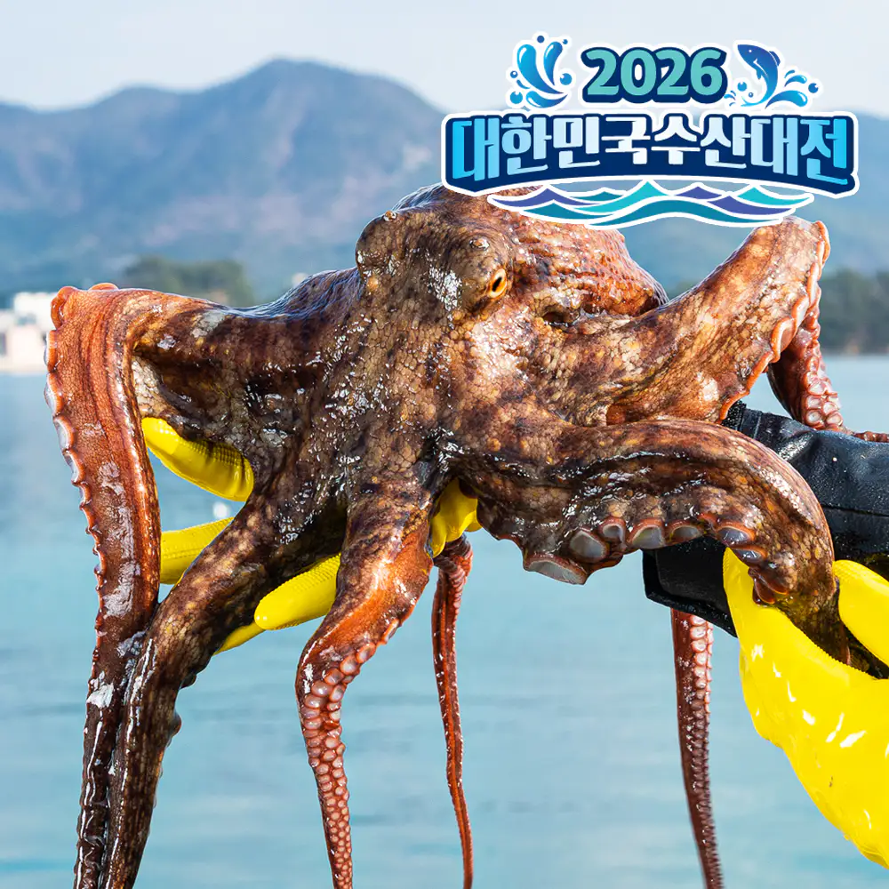 상품 이미지: 자연산 문어 돌문어 국내산 1kg 1.5kg 자숙문어 손질문어