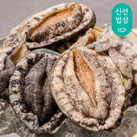상품 이미지: 완도 활 전복 2kg 7-8미(총 14~16마리) 특대전복 횟감용 구이용 살아서도착 + 세척솔