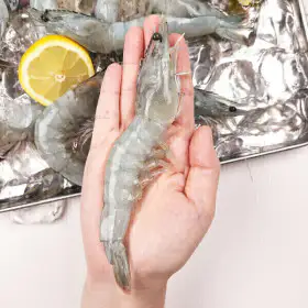 상품 이미지: (신선집중) 국내산 흰다리새우 횟감용 1kg 30미 내외 (2개 구매 시 초장+추가할인 500원)