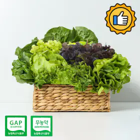 상품 이미지: 샐러드 채소 상추 쌈채소 800g / 1kg(랜덤)무농약 GAP